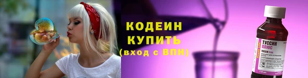 гидропоника Няндома