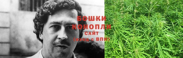 гидропоника Няндома