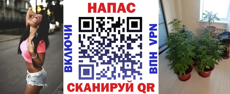 МАРИХУАНА OG Kush  Лыткарино 